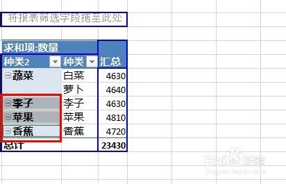 Excel2013：[38]数据透视表字段分组