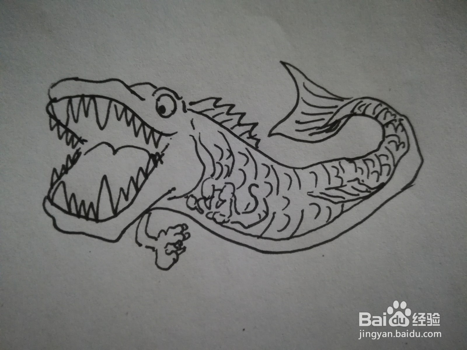海洋怪兽简笔画