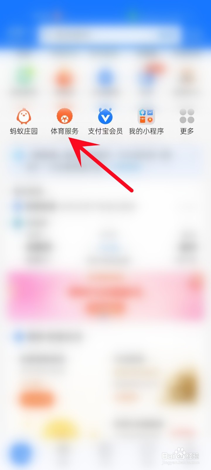 怎么在支付宝APP中打开体育服务页面