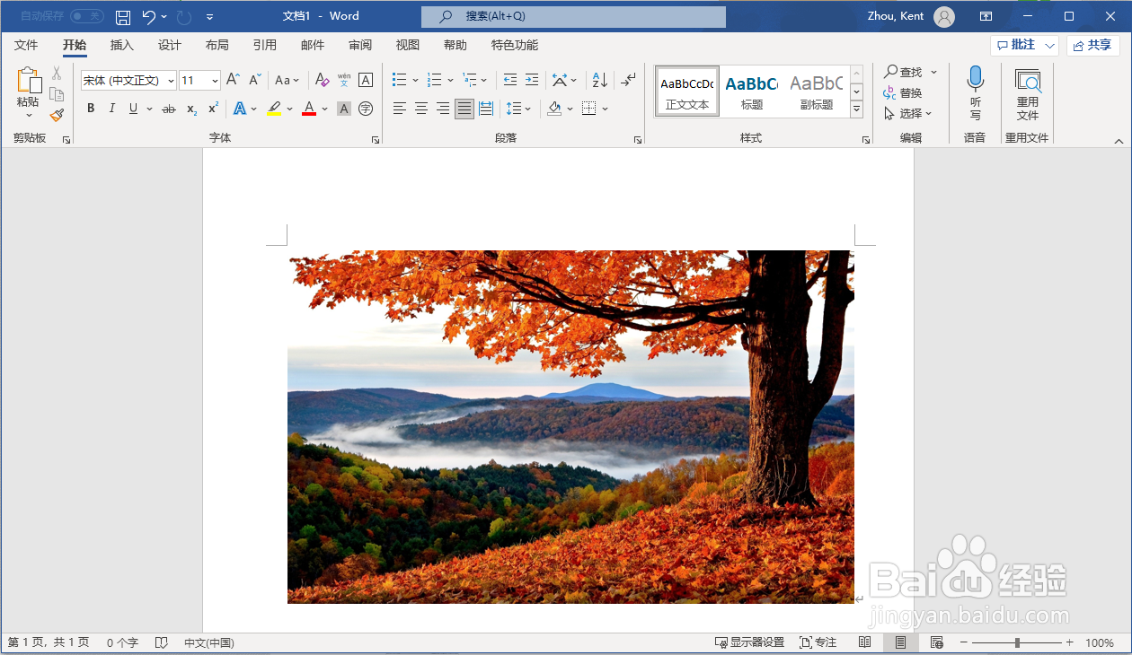 如何在Microsoft Office 365中设置图片格式