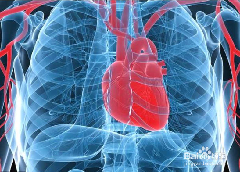 经常不吃早餐的坏处和危害