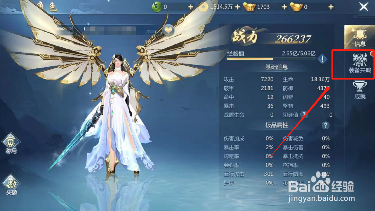 山河梦情游戏怎么进行装备共鸣