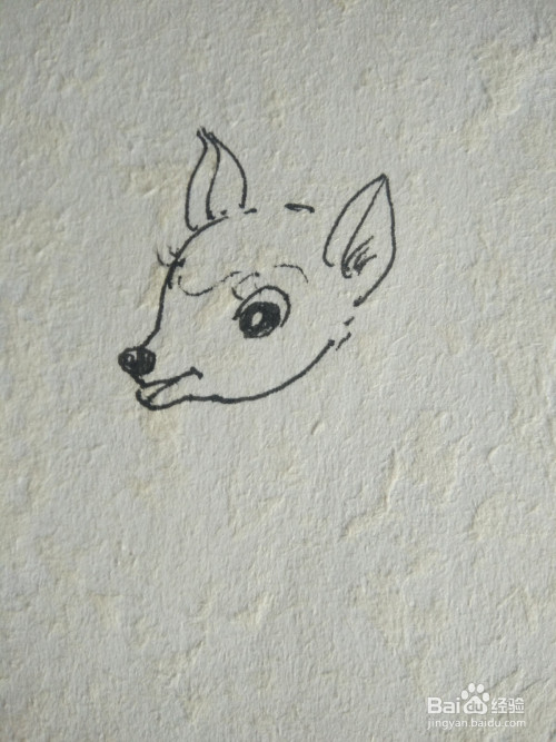 小鹿简笔画彩色