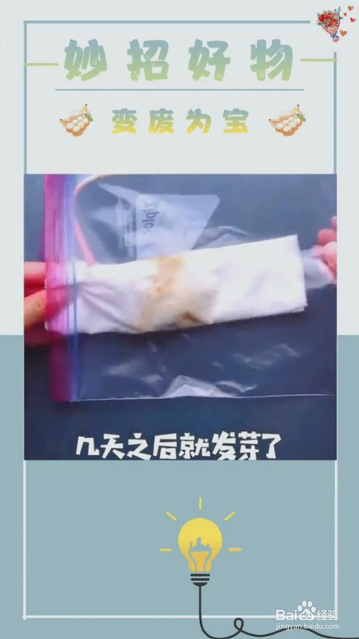 植物种植小妙招