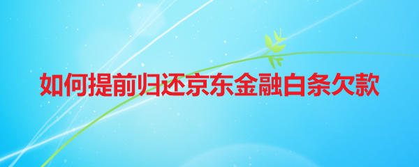 如何提前归还京东金融白条欠款