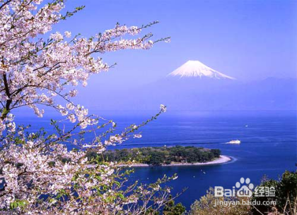 英德法日四国语言难度大盘点