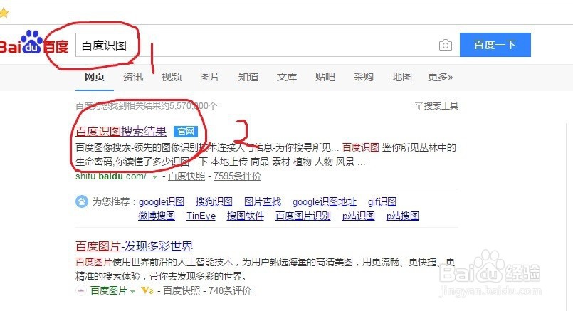 如何从网上查找到图片的出处