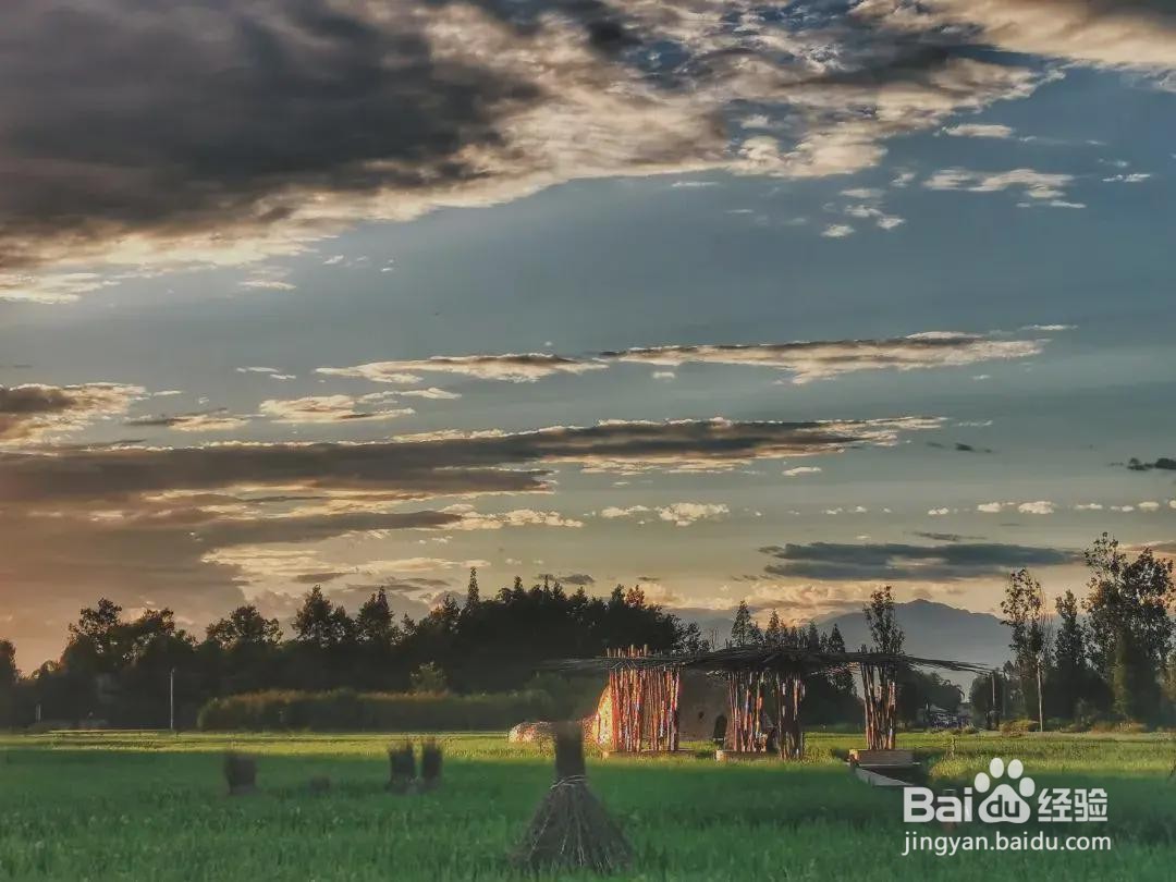 朗基如何助推乡村发展