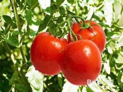 高血压食疗菜谱