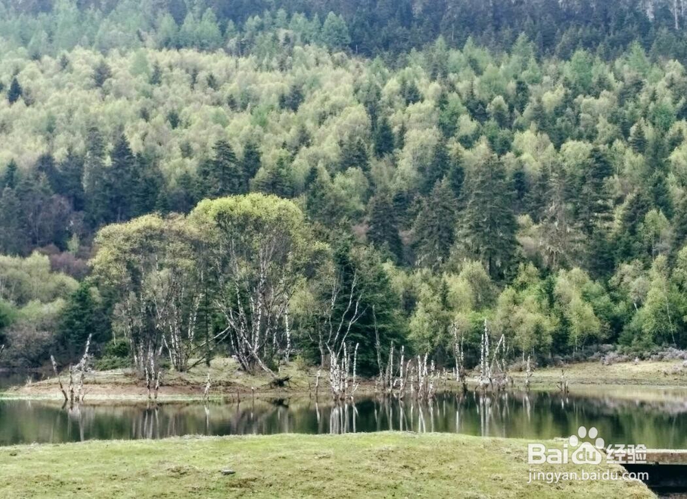 云南尼汝旅游攻略