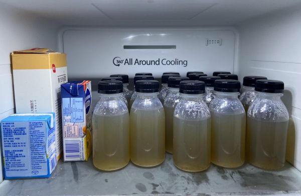 夏季海底椰雪梨冻