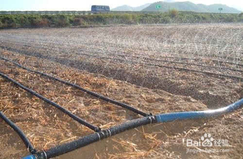 喷灌系统安装方法