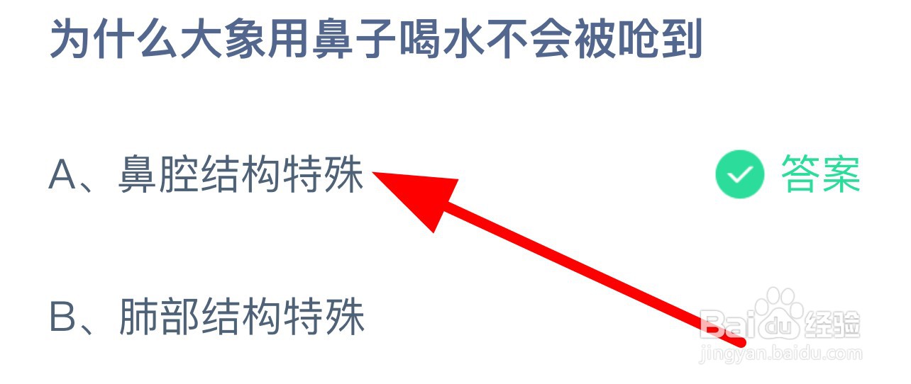 蚂蚁庄园答案为什么大象用鼻子喝水不会被呛到