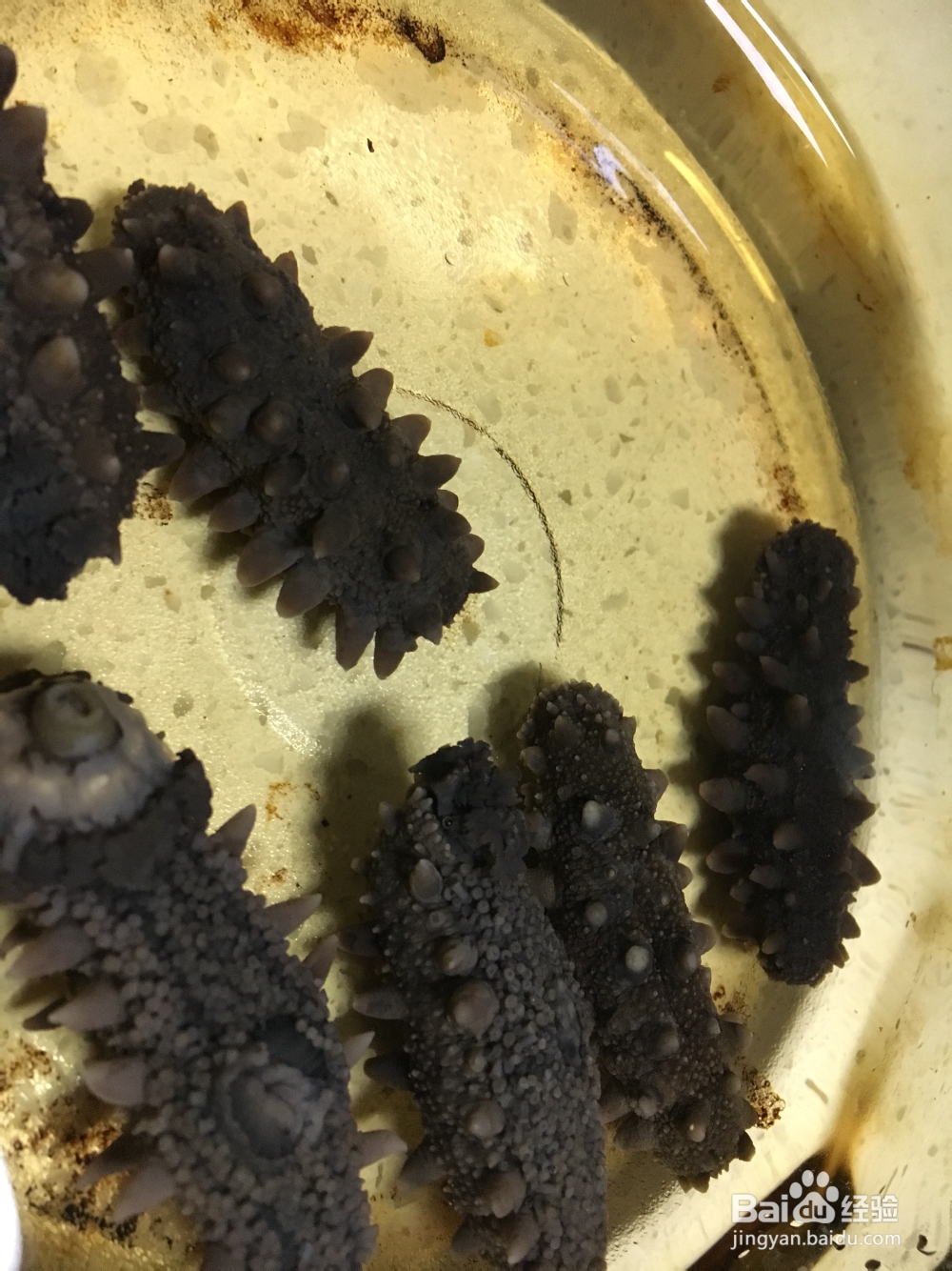 奶奶教你做海参小米粥