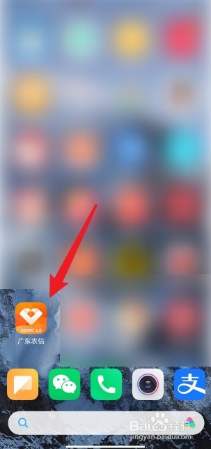 广东农信银行卡怎么查开户行
