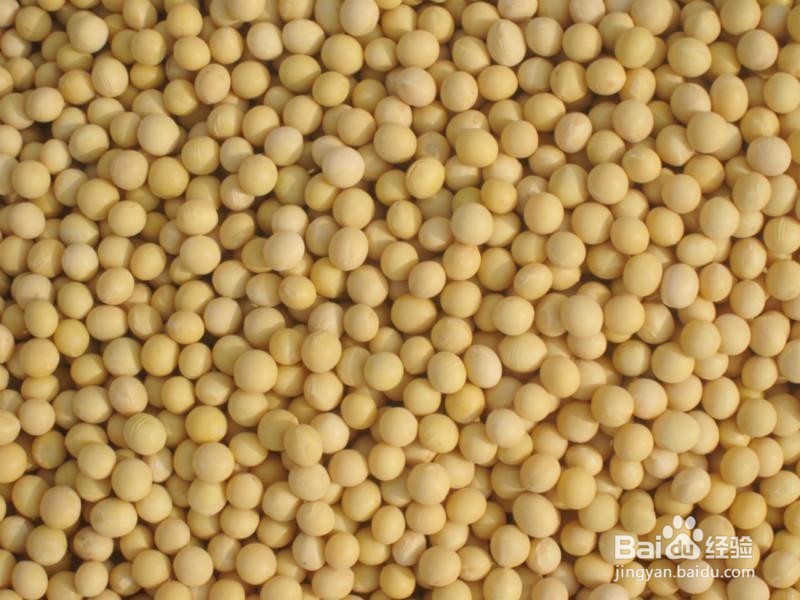 可以用什么替代肥料为花施肥