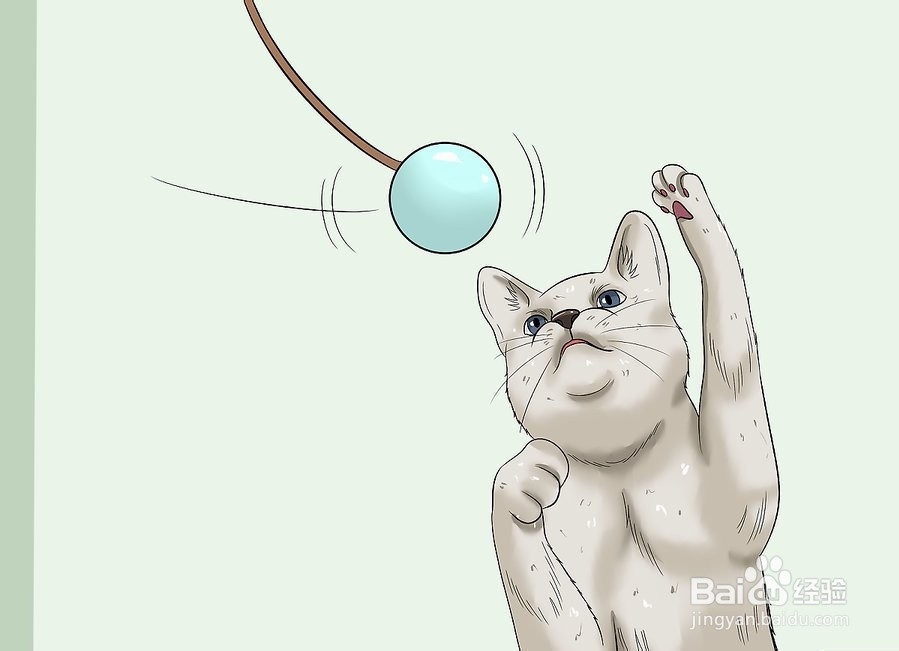 如何让你的猫爱你
