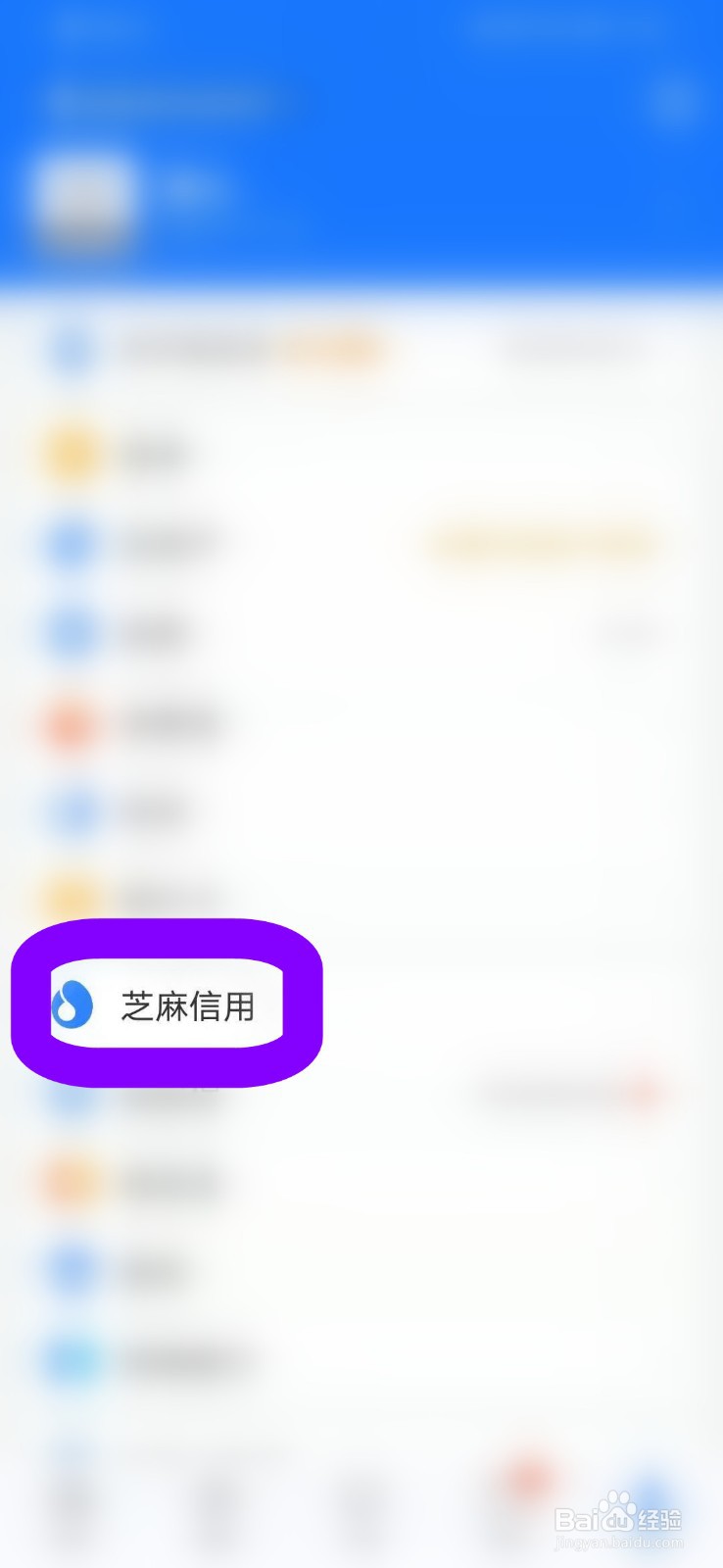 如何在支付宝上查看我的芝麻分