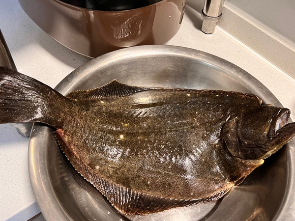年夜饭清蒸鸦片鱼