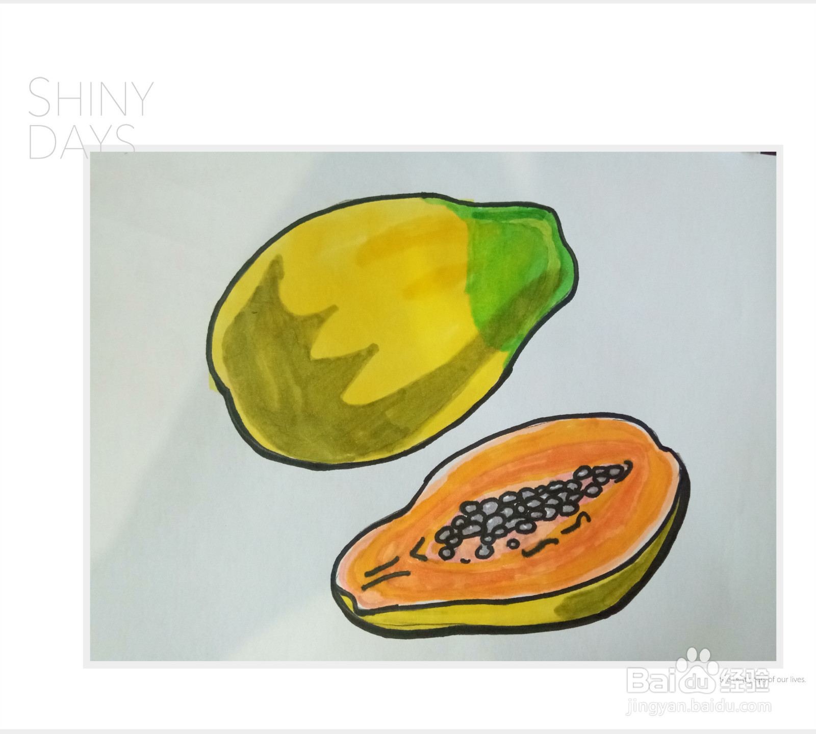 木瓜怎么画简单又可爱图片