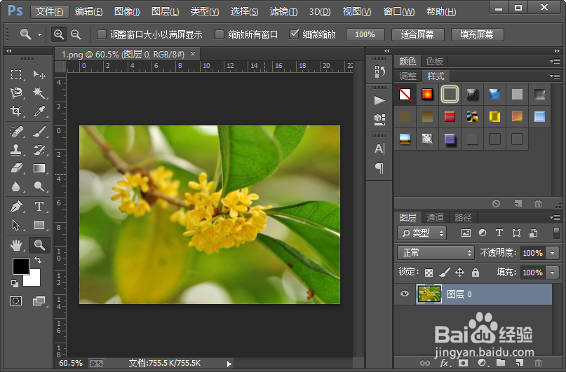 如何使用ps软件制作图片模糊朦胧的梦幻效果