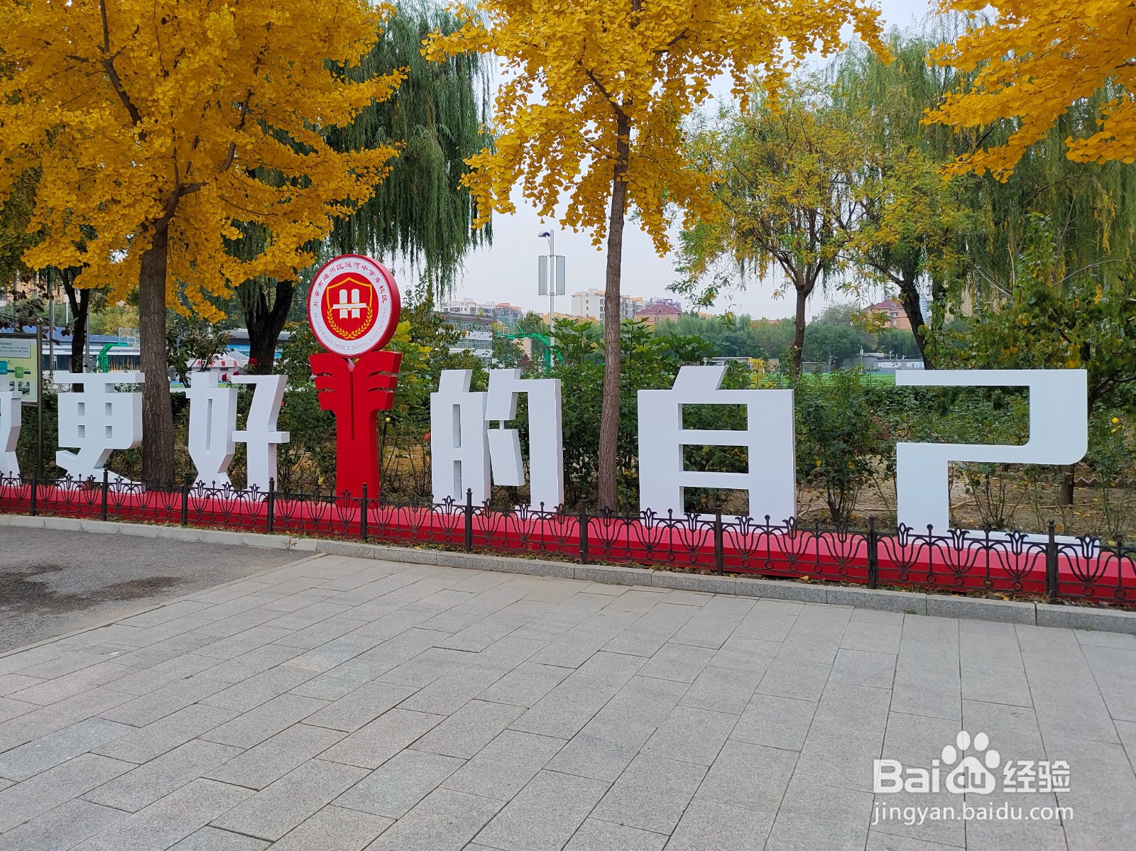 教师资格考试报名及笔试攻略