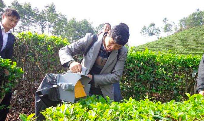 介绍一些除草的好方法