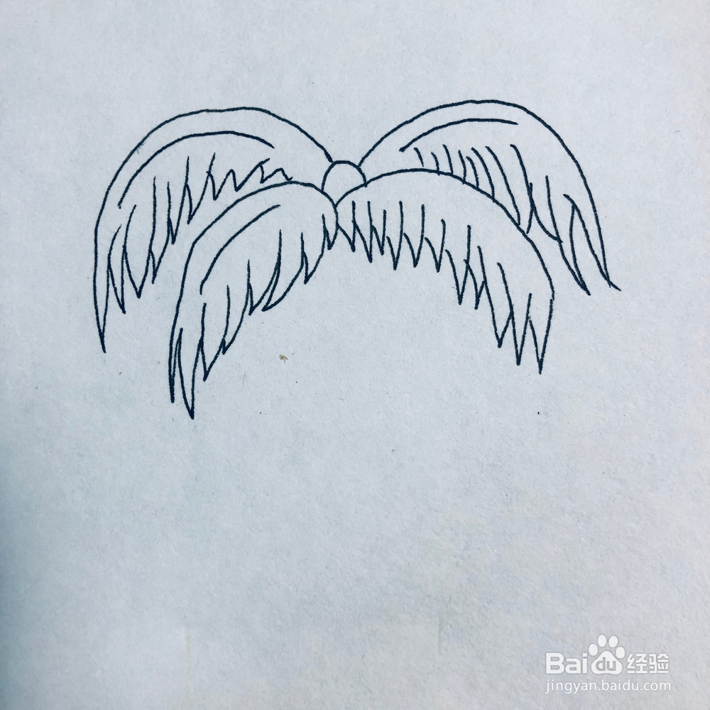 怎么绘画一棵简单的椰子树