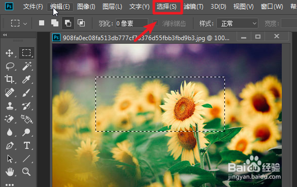 ps2019怎么取消选区，取消选区快捷键﻿怎么用