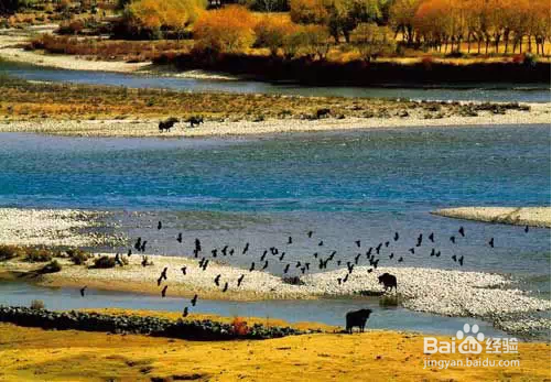 领略川藏线上的美丽风景