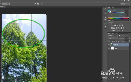 ps裁剪工具如何使用