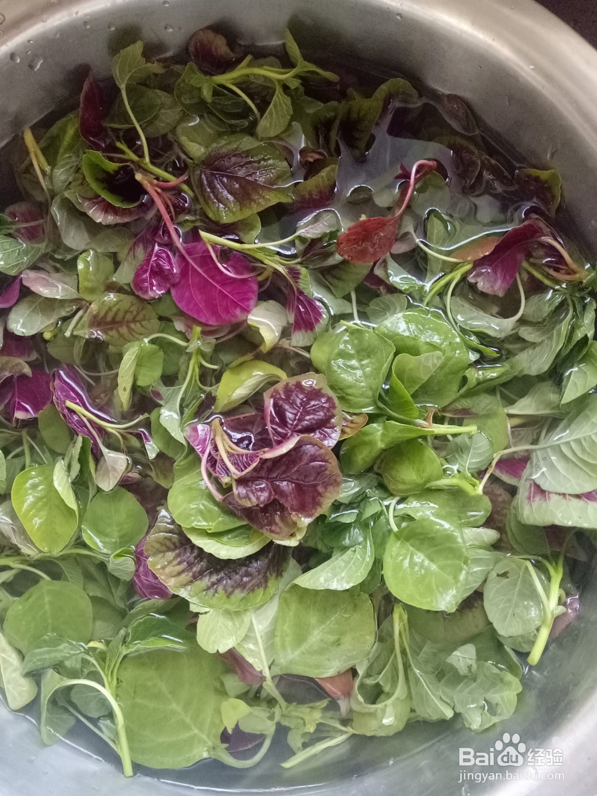 清炒苋菜怎么做