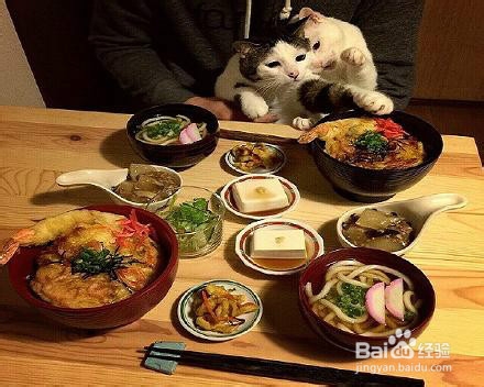 怎样让餐桌上的饭菜搭配的更有食欲