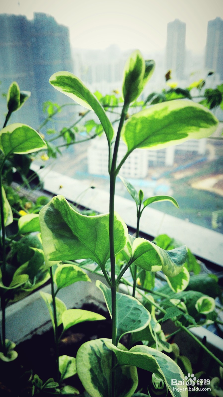 开启新生活之感慨分享