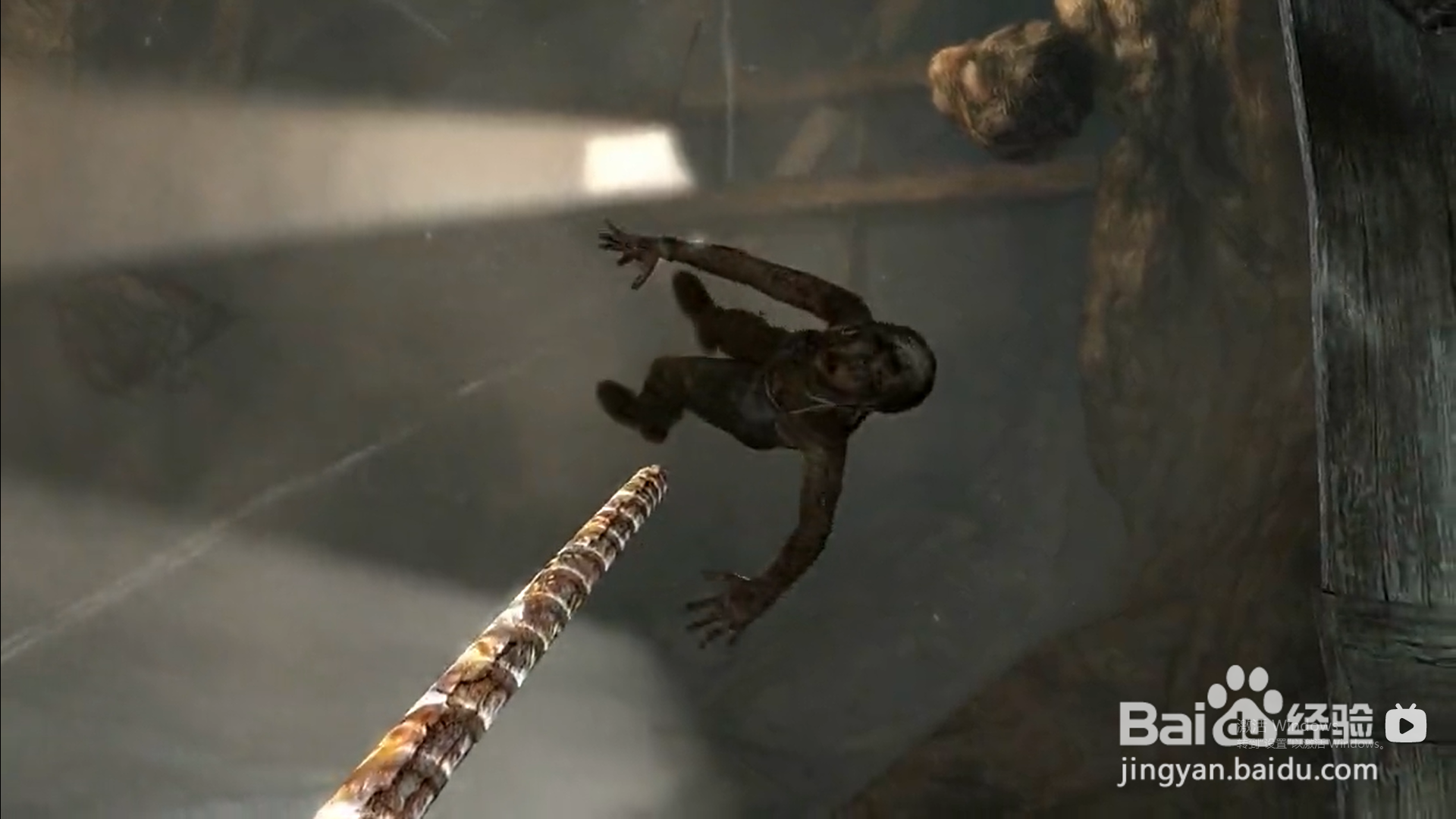 古墓丽影9怎样逃出洞穴