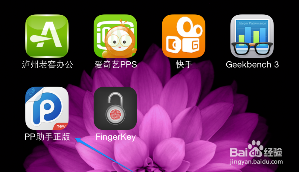 怎样删除PP助手,PP助手怎么删除