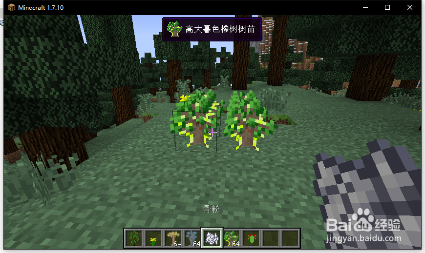 我的世界巨形树教程