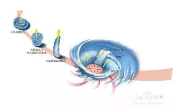 台风是怎么形成的