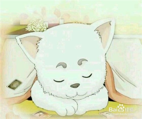 怎么过一个充实的周末