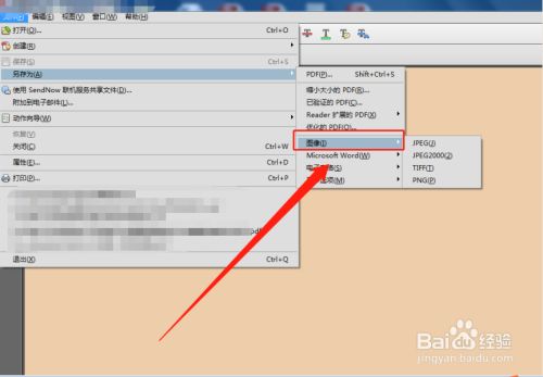 pdf文件如何快速转换成图片?