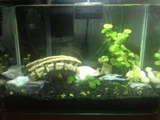 溢流区的便便怎么清理