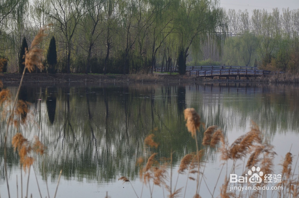 人的情绪随时都在变换