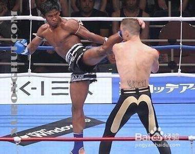 搏击扫踢攻击的部位