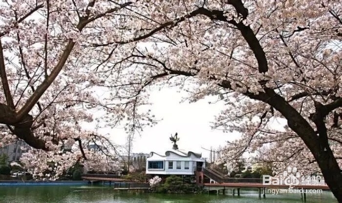 韩国十大美丽大学