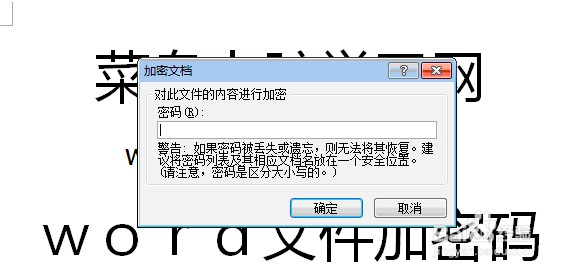 怎么给word文件设置密码 修改word文档密码