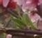 家有主妇妙招无穷51