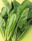 去除青春痘的小秘诀