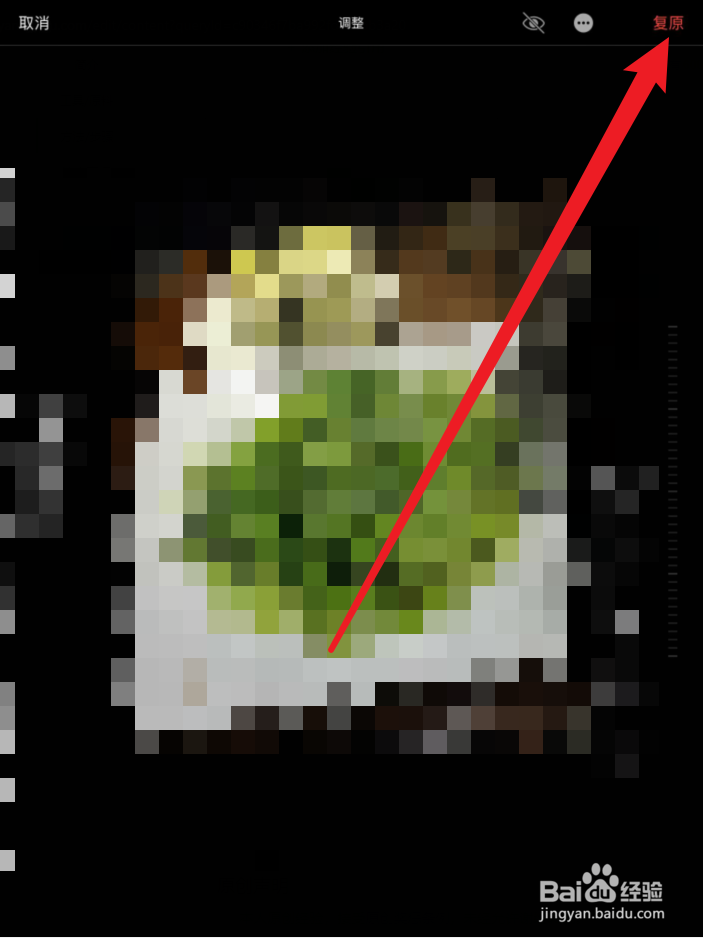 苹果手机怎么去除马赛克看原图