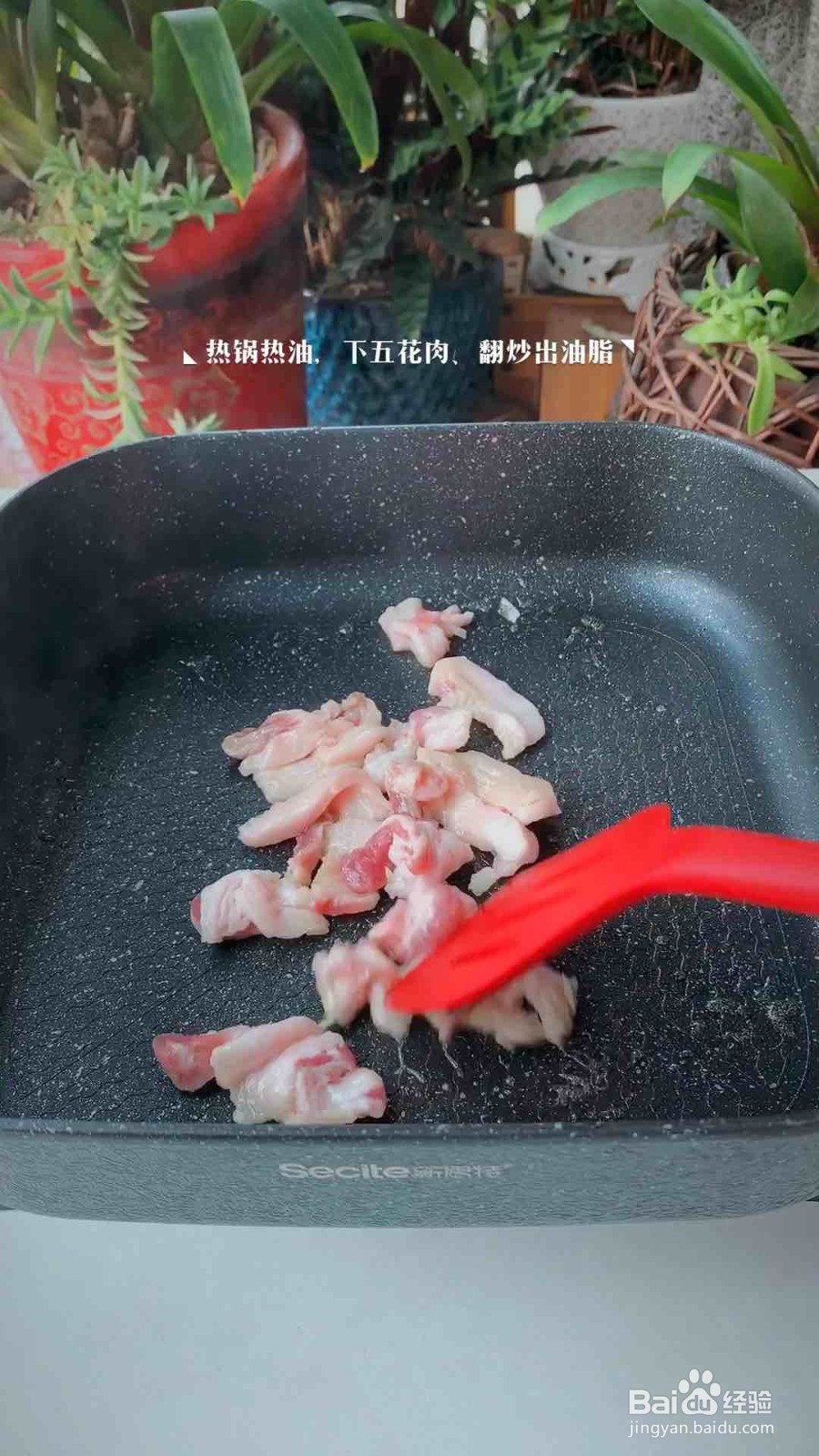 白菜粉皮五花肉