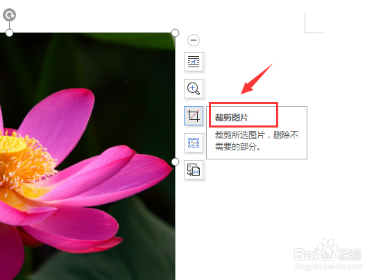 如何将word里面图片裁剪成圆形